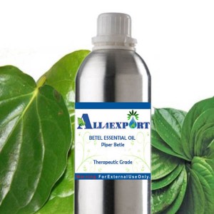 BETEL ESSENTIAL OIL