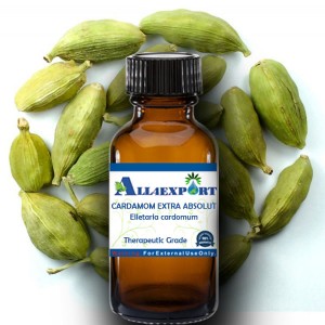 CARDAMOM EXTRA ABSOLUTE OIL 