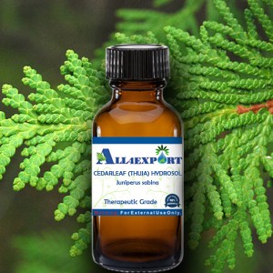 CEDARLEAF (THUJA) HYDROSOL