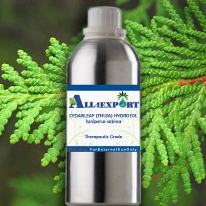 CEDARLEAF (THUJA) HYDROSOL