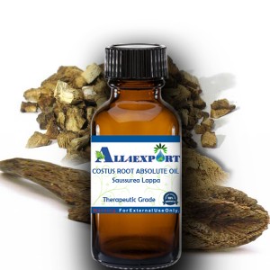 COSTUS ROOT ABSOLUTE OIL 