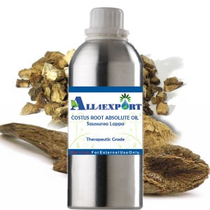 COSTUS ROOT ABSOLUTE OIL 