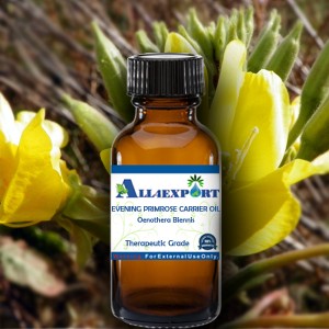 EVENING PRIMROSE CARRIER OIL