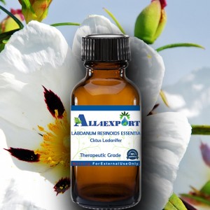 LABDANUM RESINOIDS ESSENTIAL OIL