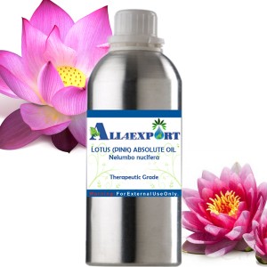 LOTUS (PINK) ABSOLUTE OIL 