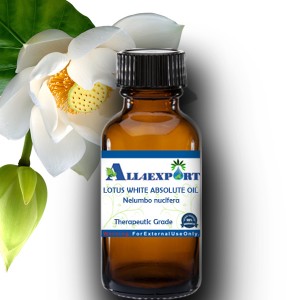 LOTUS WHITE ABSOLUTE OIL 