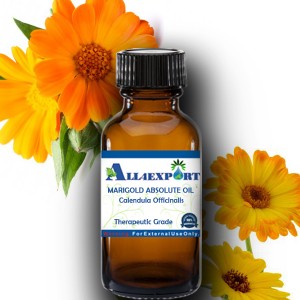 MARIGOLD ABSOLUTE OIL 