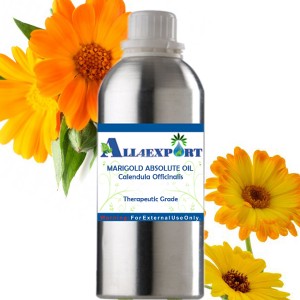 MARIGOLD ABSOLUTE OIL 