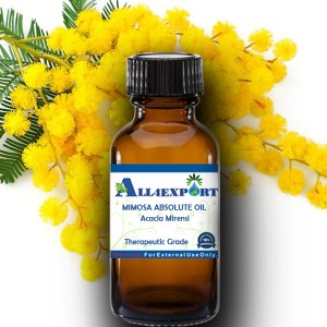 MIMOSA ABSOLUTE OIL 