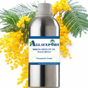 MIMOSA ABSOLUTE OIL 