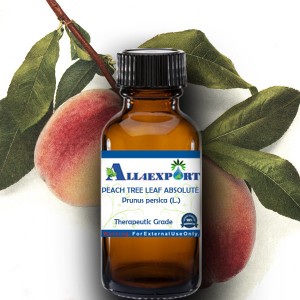 PEACH TREE LEAF ABSOLUTE OIL 