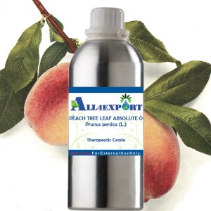 PEACH TREE LEAF ABSOLUTE OIL 