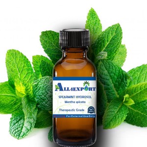 SPEARMINT HYDROSOL