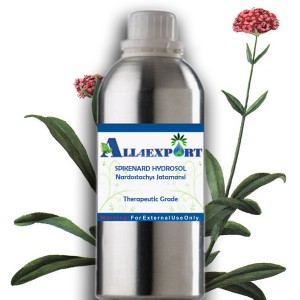 SPIKENARD HYDROSOL