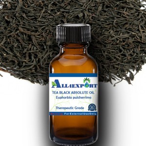 TEA BLACK ABSOLUTE OIL