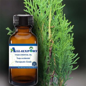 THUJA ESSENTIAL OIL