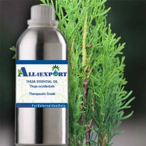 THUJA ESSENTIAL OIL