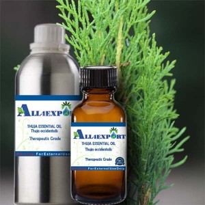 THUJA ESSENTIAL OIL