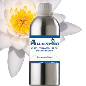 WHITE LOTUS ABSOLUTE OIL