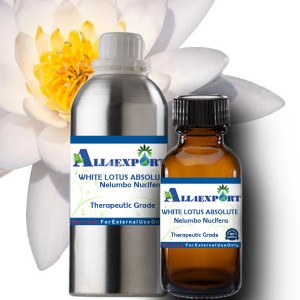 WHITE LOTUS ABSOLUTE OIL