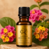 LANTANA ESSENTIAL OIL