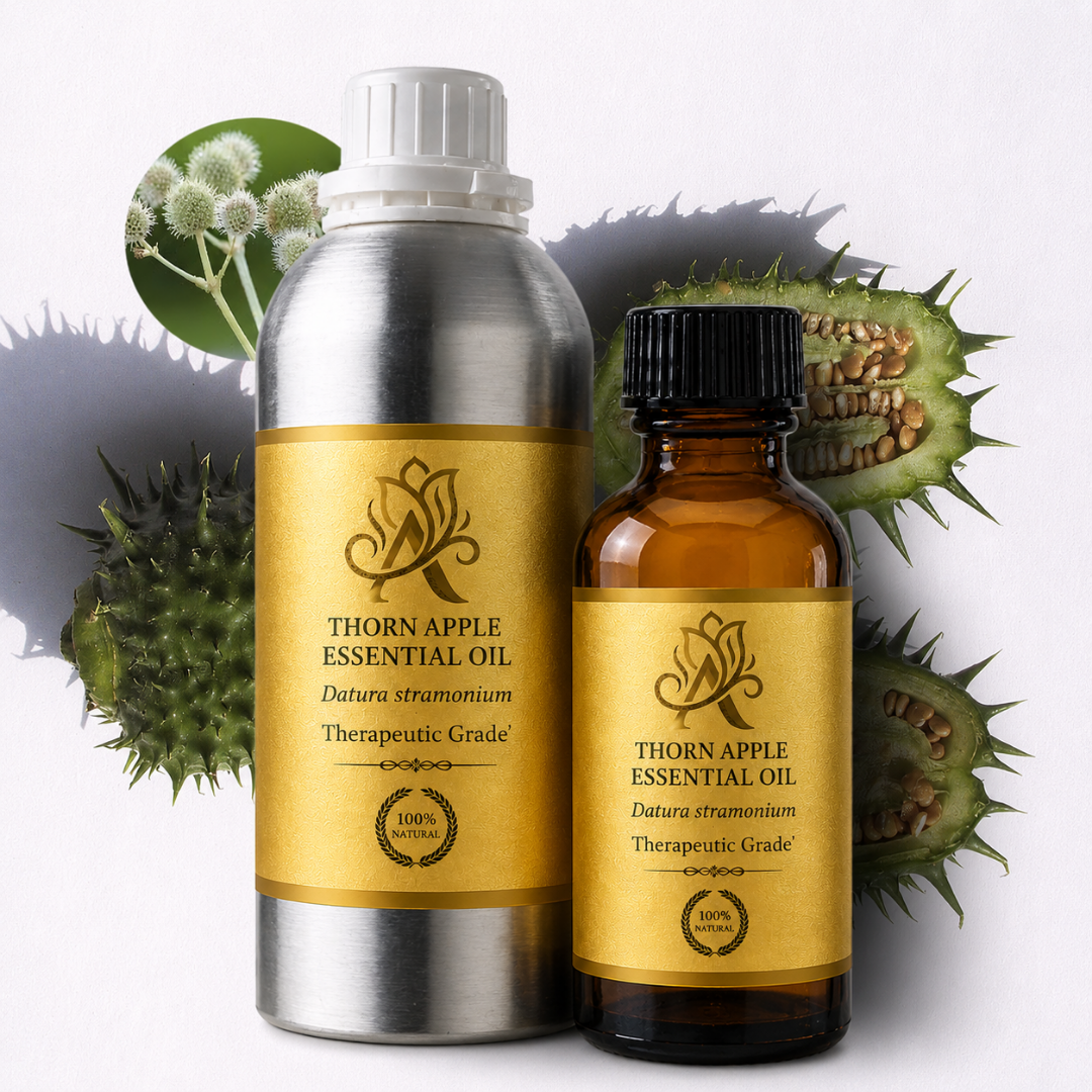 THORN APPLE ESSENTIAL OIL - Image 2